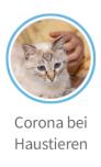 Corona Haustiere.jpg
