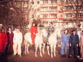 Die Radikalen Töchter auf Pferden, im roten Anzug Cesy Leonard.