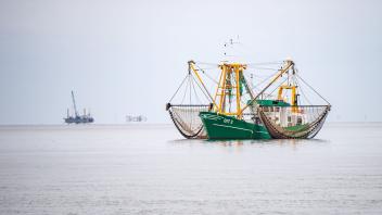 ARCHIV - Der Krabbenkutter auf der Nordsee. Foto: Sina Schuldt/dpa/Archivbild