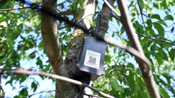 Das Gerät sendet Daten, wie viel Wasser an die Wurzeln des Baumes kommt. Foto: Uli Deck/dpa - Nutzung nur nach vertraglicher Vereinbarung ACHTUNG: Dieses Foto hat dpa bereits im Bildfunk gesendet.