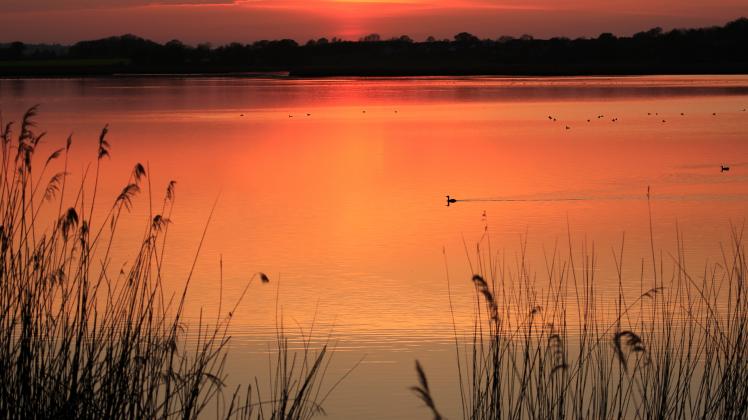 Die Sonne taucht den Schaalsee bei Zarrentin in romantisches Licht.