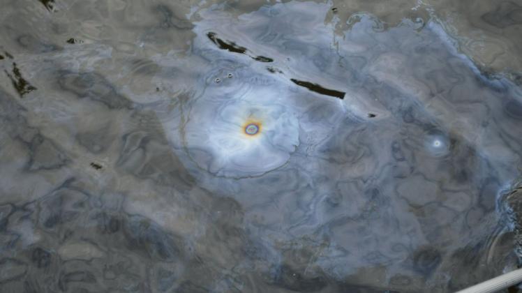 Seit Jahrzehnten Alltag am Wikingeck: Gasblasen steigen aus der Schlei auf und bilden einen schillernden Ölfilm.