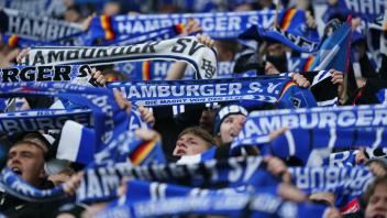 Hamburger SV - Erzgebirge Aue