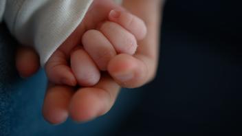 ARCHIV - Die Hand eines zwei Wochen alten Säuglings liegt in der Hand seiner Mutter. Foto: Sebastian Gollnow/dpa/Archivbild