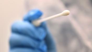 ARCHIV - Ein Arzt hält einen Tupfer, mit dem ein Abstrich für einen Coronatest gemacht wird. Foto: Karl-Josef Hildenbrand/dpa/Symbolbild