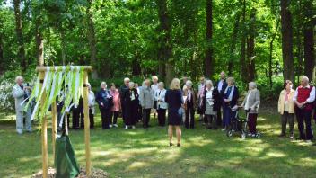 Nach der Jubelkonfirmation trafen sich die damaligen Schulkameraden im Schützenpark in Grabow an der Linde, die zur Erinnerung an das Schülertreffen gepflanzt worden war.