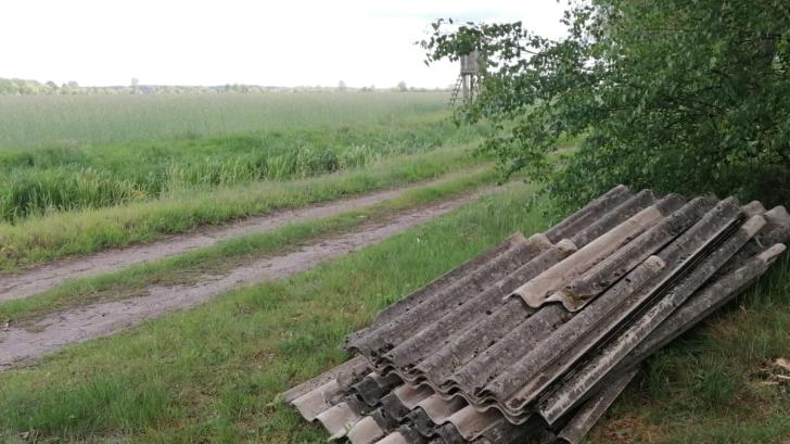 Dreiste Abfallentsorgung: Ein Unbekannter hat Wellasbestplatten am Waldrand bei Dadow abgelegt.
