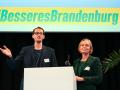 Empfang der Brandenburger Grünen zur Halbzeit