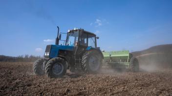 ARCHIV - Wegen ihrer fruchtbaren Böden ist die Ukraine einer der wichtigsten Weizenexporteure weltweit. Foto: Nariman El-Mofty/AP/dpa