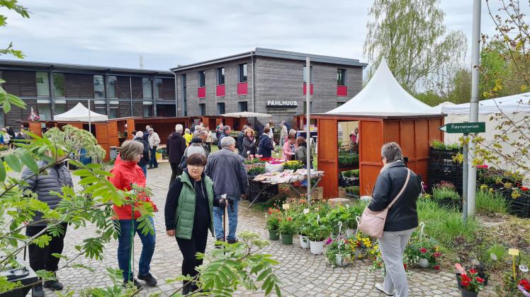 Der Biosphäre-Schaalsee-Markt in Zarrentin am Schaalsee