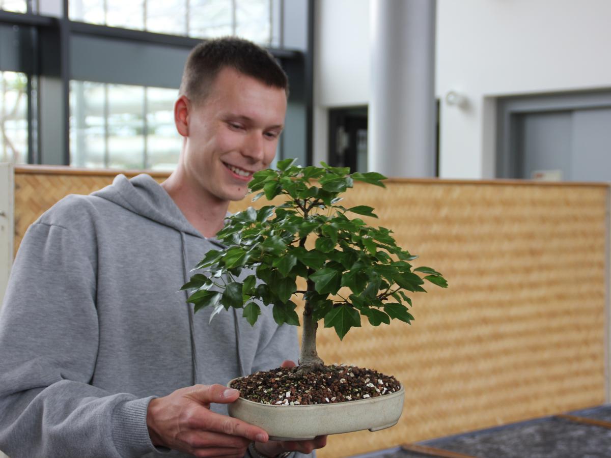 Was einen 23-Jhrigen Ibbenbrener an Bonsai fasziniert