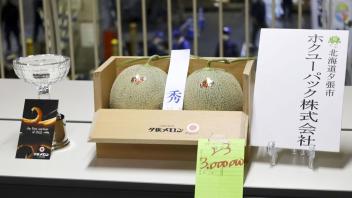 Ein Paar Yubari-Melonen erzielt bei der ersten Auktion des Jahres für das charakteristische Produkt der Hokkaido-Stadt Yubari einen Preis von 3 Millionen Yen (etwa 22.000 Euro). Foto: --/kyodo/dpa