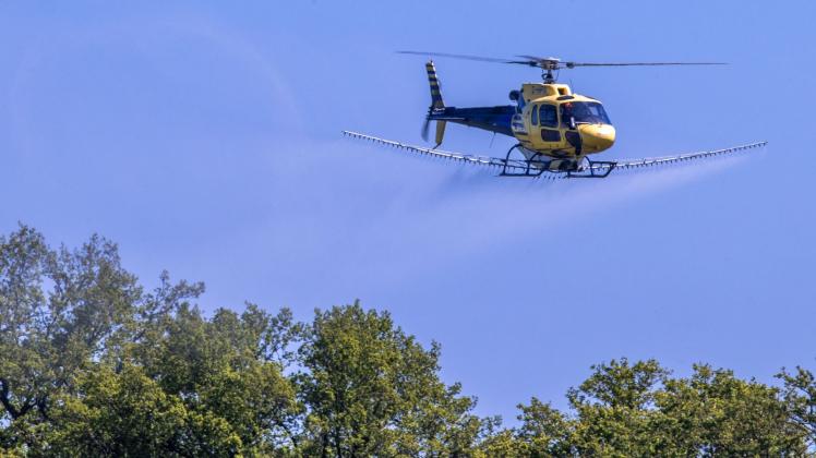Hubschrauber sprüht gegen Eichenprozessionsspinner