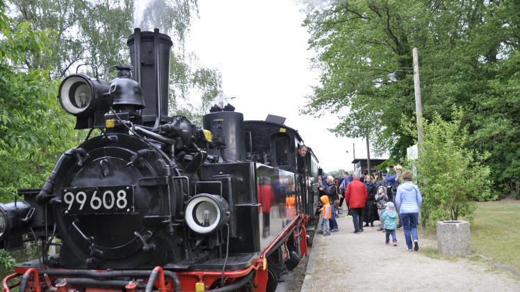 Der Pollo, an diesem Wochenende mit einer Dampflok fahrend, bringt die Besucher nach Lindenberg.