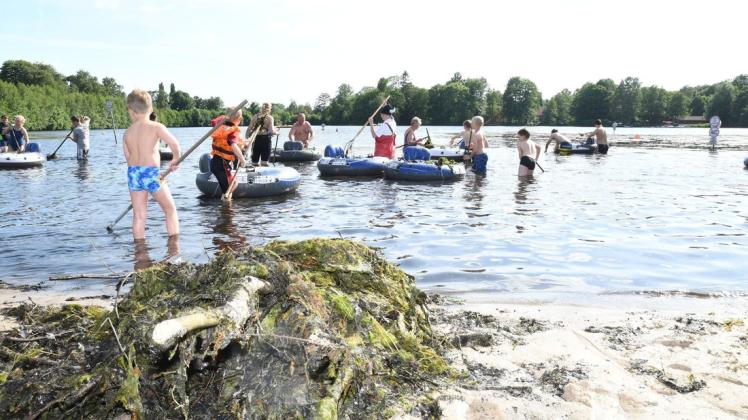 Im Juni 2021 hatten Stadtwerke-Mitarbeiter und ehrenamtliche Helfer, darunter viele von der DLRG Barmstedt, mit Forken überschüssige Wasserpflanzen aus dem Rantzauer See geholt.
