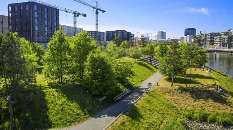 Bäume sind wichtig für das Leben auf der Erde. In Hamburg gibt es mehr als eine Million von ihnen. Doch kommen sie mit dem Stadtleben zurecht? Am Tag der langen Natur können sich Interessierte auf die Suche nach Antworten begeben.