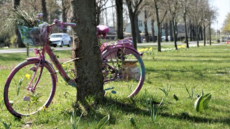 Zwei von Bürgern gespendete Fahrräder sind in Kunstwerke verwandelt worden. 