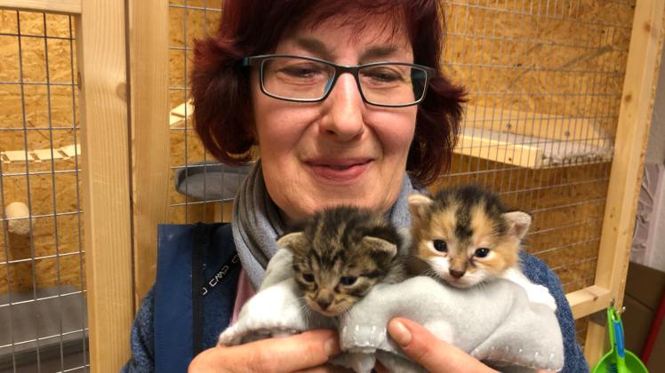 Tierschützerin Anka Bandemer mit zwei erst einige Wochen alten Katzenbabys, die hinter einem Container in der  Thomas-Münzer-Straße Dienstagabend eingesammelt wurden. 