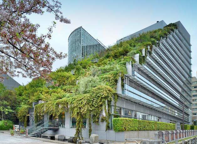 Das ACROS-Zentrum in Fukuoka, Japan, ist das Ergebnis einer vor vierzig Jahren begonnenen Forschung, die auf der Idee beruht, der Natur das Land zurückzugeben, das ihr durch den Bau genommen wurde.