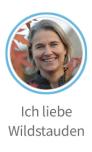 Wildstauden.jpg