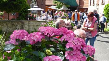 Schön voll war es vor und in der Mühle Bohle am Pfingstmontag, dem Deutschen Mühlentag, mit stilvoller Deko vom Blumen Flaucher.