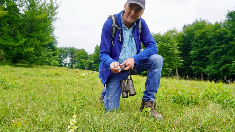 Andreas Hehmann, Vorsitzender der AG Natur und Umwelt Hagen a.T.W., zeigt auf eine Orchidee                               