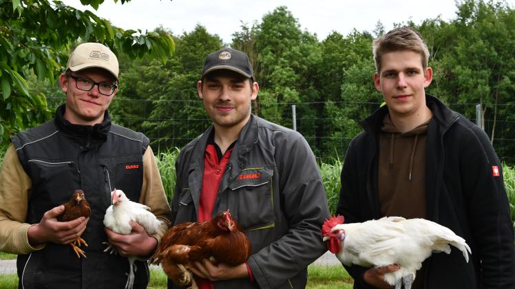 Egal ob Rassegeflügel oder einfach ein paar Hühner zum Eierlegen, Miguel Kormann (von links), Robin Felker und Niklas Gramann sind von den Tieren fasziniert.
