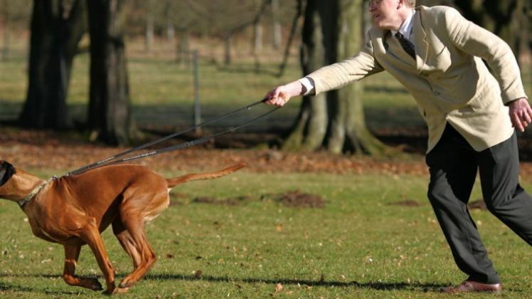 Wenn Hasso mit Herrchen spazieren geht: Das neue Hundegesetz betont die Verantwortung des Halters für das Tier. Archivfoto: dpa