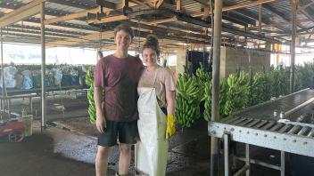 Die Arbeit auf der Bananenfarm ist an anstrengend und trotzdem wollen Marvin Goeke und Jule Froese diese Erfahrung nicht missen.