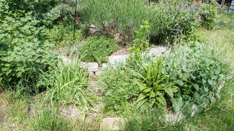 Zukunftsfähiger Hausgarten: Viele gute Gründe für eine Permakultu
