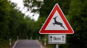 Das Verkehrszeichen für Achtung, Wildwechsel (VZ 142-10) warnt Autofahrer vor Zusammenstößen mit Wildtieren. Besonders i