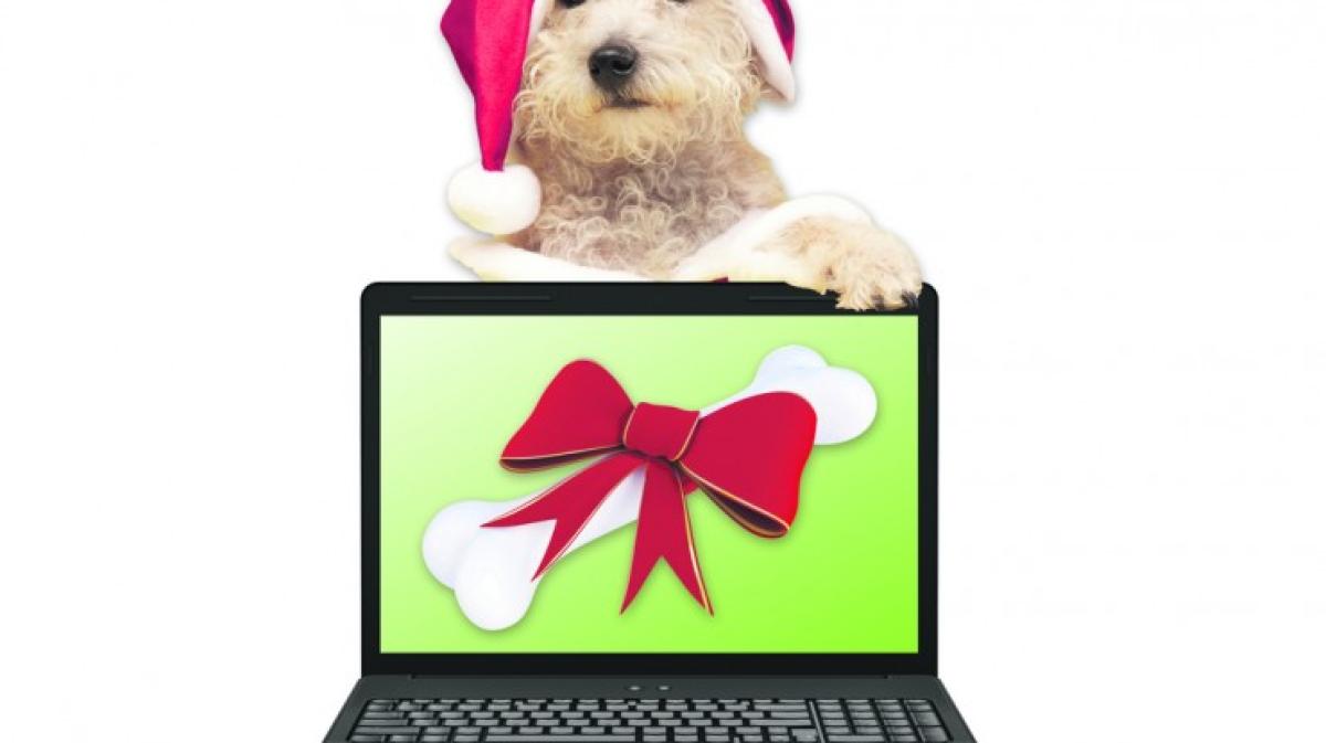Trend Weihnachtsgeschenke online kaufen für Bello, Miezi und NOZ