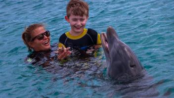 Schwimmen mit Delfinen, das konnte Béla Noss aus Melle erleben.
