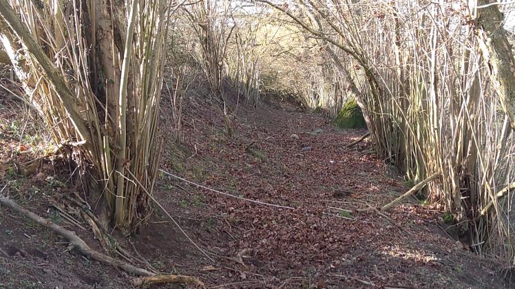 Der Wanderweg soll von der Bergstraße in Jülchendorf durch diesen Hohlweg bis nach Wendorf führen. 
