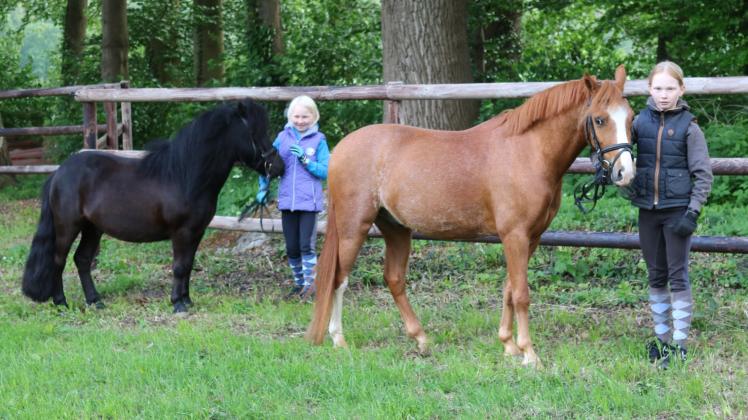 Lieke und Martje Cording stellten ihre Ponys während des Züchterabends des Kreisverbands Oldenburg für die Oldenburger Pferdezuchtverbände vor.
Züchterabend 2022 in Bergedorf Ohe, Hof der Familie Cording