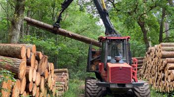 Mit schwerer Technik wird das Holz aus dem Reinhardtsdorfer Wald gerückt.