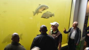 Wildpark-Gästebetreuer Hans-Jürgen Krull erklärt den Besuchern aus Tansania den Fischbestand.