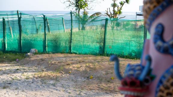 PRODUKTION - Ein großer Wal liegt außerhalb eines Tempels auf der Insel Ly Son begraben. Foto: Chris Humphrey/dpa PRODUKTION - Ein großer Wal liegt außerhalb eines Tempels auf der Insel Ly Son begraben. Foto: Chris Humphrey/dpa