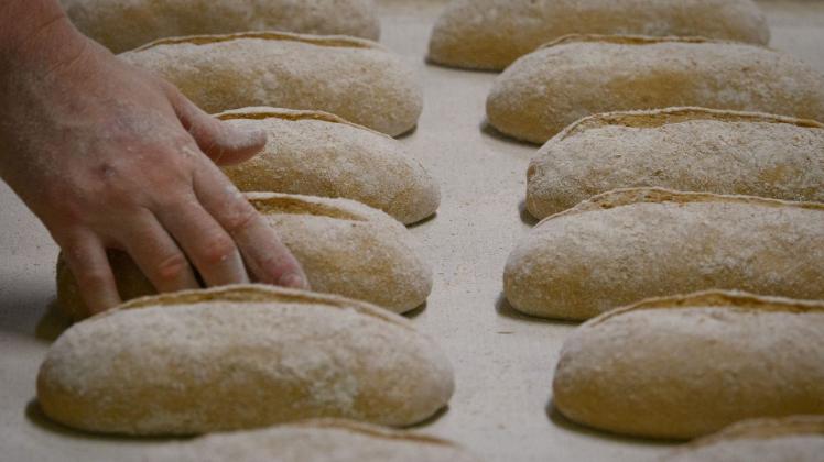 ARCHIV - Brot-Teiglinge liegen in der Backstube einer Bäckerei und Konditorei nebeneinander. Foto: Soeren Stache/dpa/dpa-Zentralbild/Symbolbild