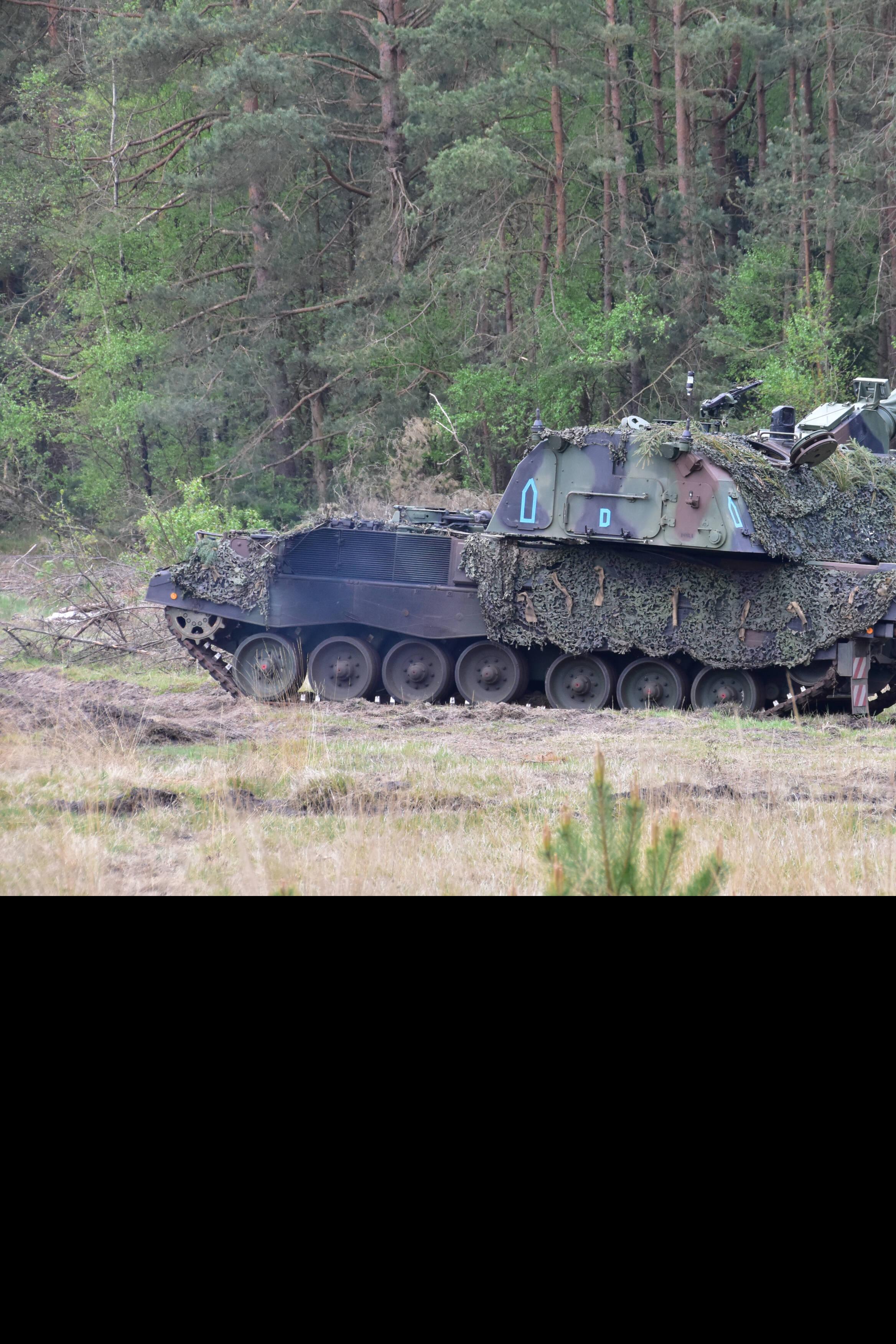 100 Panzer Im Wald Gefunden
