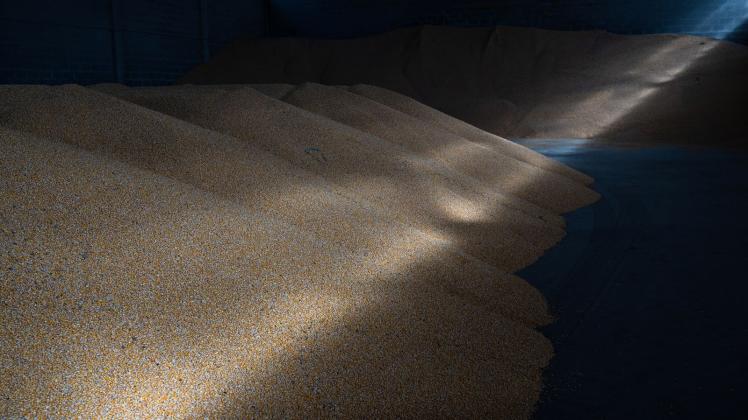 dpatopbilder - Maiskörner werden in einer Lagerhalle in der Region Kiew gelagert. Durch den Krieg in der Ukraine können Millionen Tonnen Getreide nicht exportiert werden, was in mehreren Ländern der Welt bereits zu Nahrungsmittelknappheit führt. Foto: ---/Ukrinform/dpa