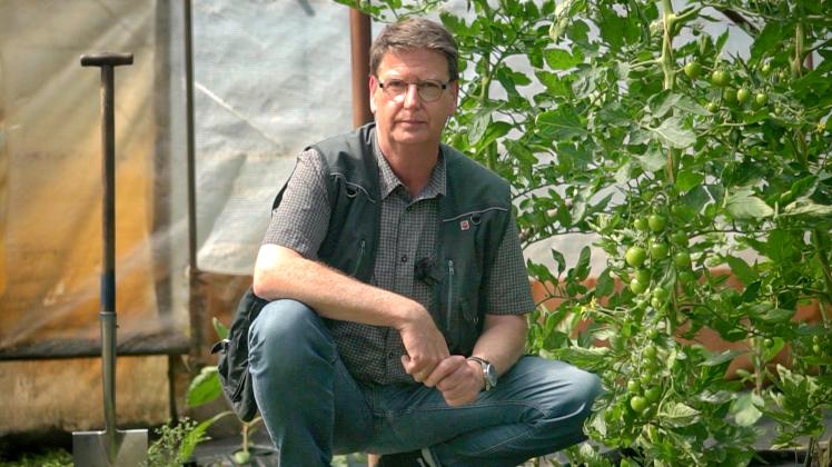 Gartenprofi Klaus Kruse kennt sich mit dem Anbau und der Ernte von Tomaten aus. 