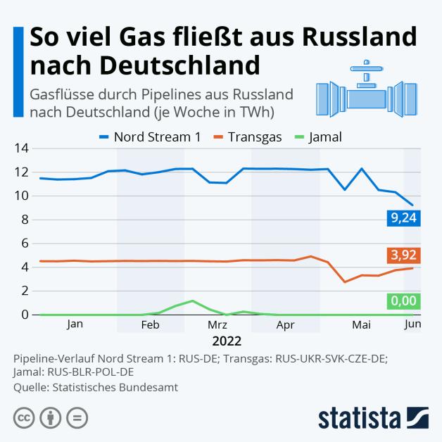 Hohe Energiepreise: Wie Deutschland Russlands Gas Einsparen Will | NOZ