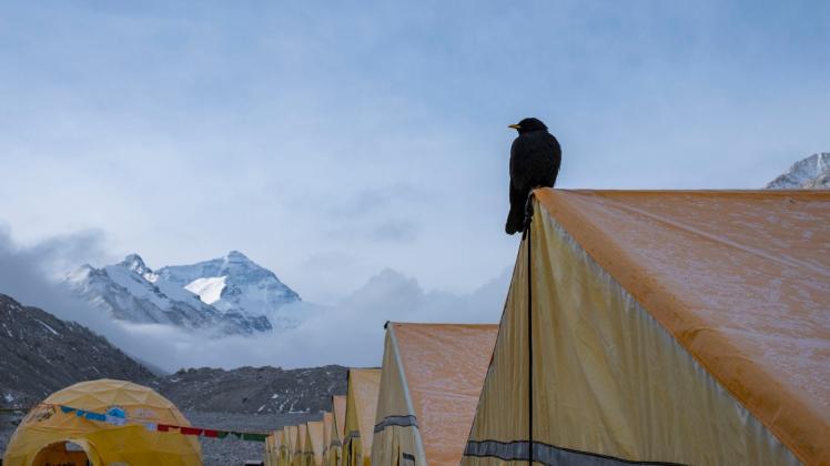 ARCHIV - Wegen des Klimawandels könnten sich große Gletscherseen bilden, und diese könnten irgendwann über das Basislager hereinbrechen. Die Regierung in Nepal denkt daher über eine Verlegung nach. Foto: Sun Fei/XinHua/dpa