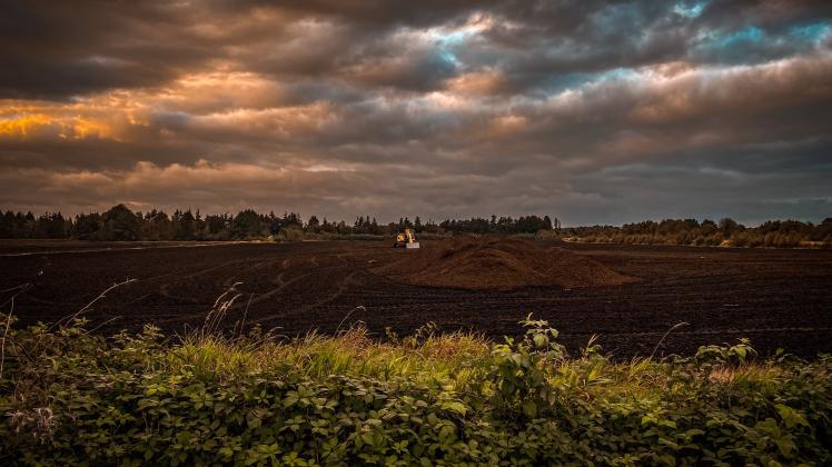 Unendliche Weiten in Wiesmoor: Blick auf Torfabbau-Flächen in Ostfriesland, wo ein Antrag für eine weitere Fläche von insgesamt fast 100 Hektar von den Behörden geprüft wird.