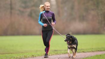 Tipps vom Profi: So klappt Sport mit dem Hund