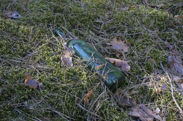 Zwar nicht gut für die Umwelt, aber auch kein Auslöser für ein Feuer: Glasflaschen im Wald. Zwar nicht gut für die Umwelt, aber auch kein Auslöser für ein Feuer: Glasflaschen im Wald.