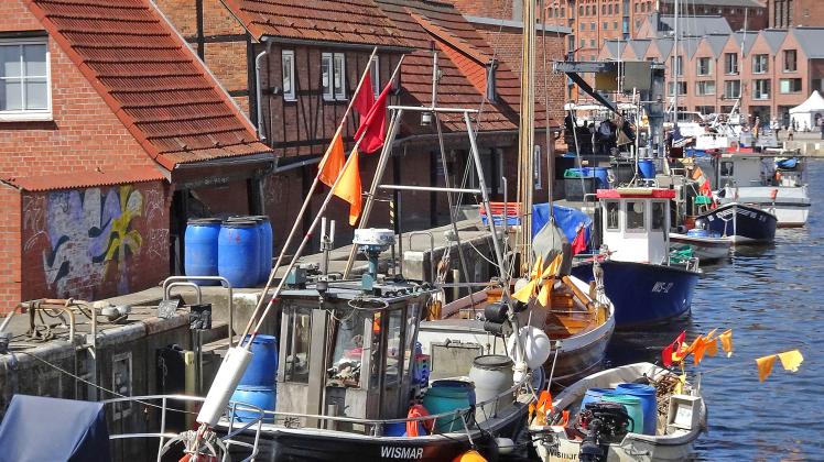 Die wenigen Berufsfischer aus Wismar kämpfen ums Überleben. Ihre Berufsgruppe ist vom Aussterben bedroht.