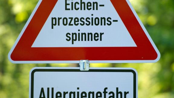 ARCHIV - In manchen Wäldern weisen Schilder auf den sich jährlich wiederholenden Befall mit Eichenprozessionsspinnern hin. Foto: Patrick Pleul/dpa-Zentralbild/dpa-tmn ARCHIV - In manchen Wäldern weisen Schilder auf den sich jährlich wiederholenden Befall mit Eichenprozessionsspinnern hin. Foto: Patrick Pleul/dpa-Zentralbild/dpa-tmn