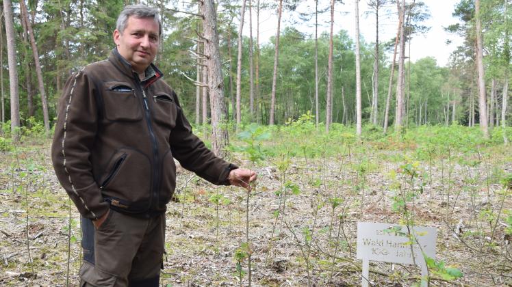 Plant my tree Aufforstung Eiche Wald Hohenaspe Zukunft Klima Klimawandel Kloster Itzehoe Holger Grimm